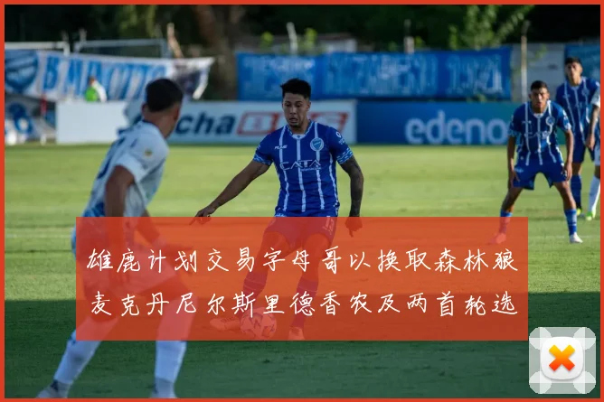 雄鹿计划交易字母哥以换取森林狼麦克丹尼尔斯里德香农及两首轮选秀权